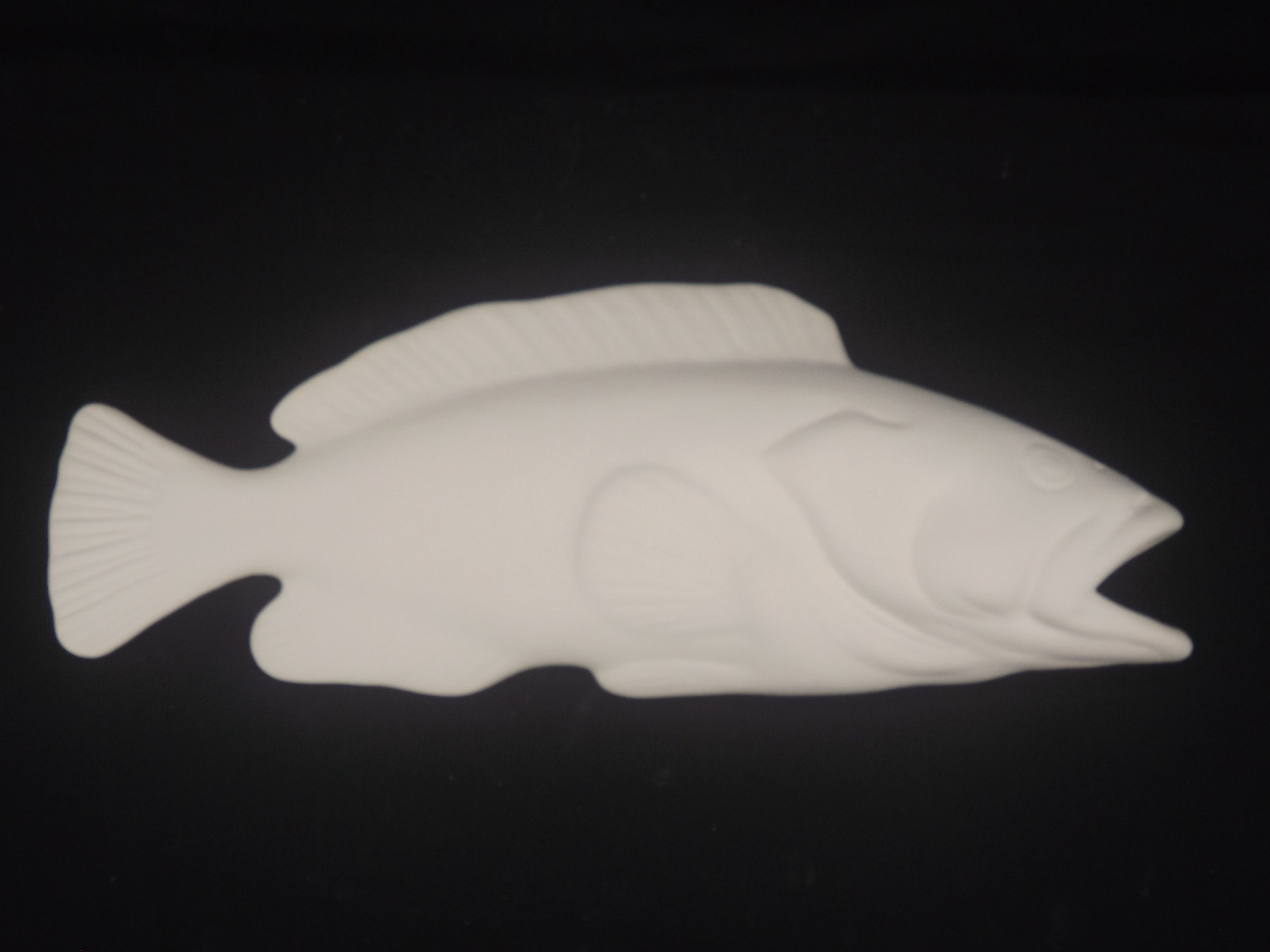 Peixe Garoupa
